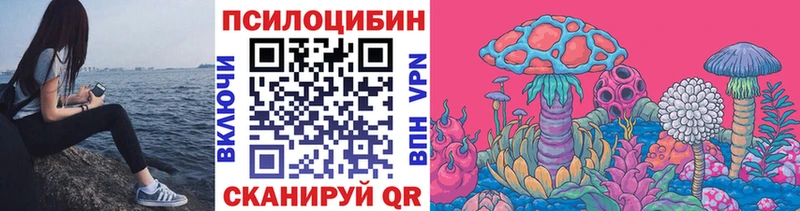 МЕГА зеркало Подпорожье Псилоцибиновые грибы Psilocybine cubensis как найти закладки